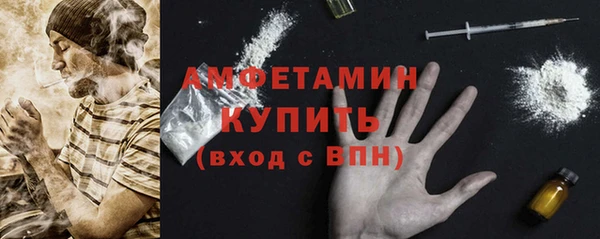 сатива Аркадак