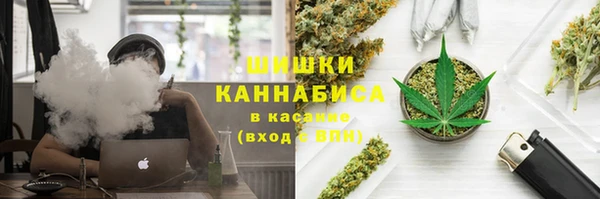 ПСИЛОЦИБИНОВЫЕ ГРИБЫ Армянск