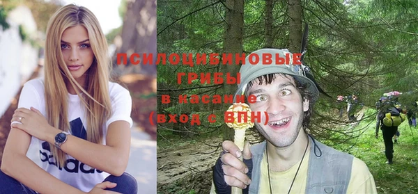ПСИЛОЦИБИНОВЫЕ ГРИБЫ Армянск