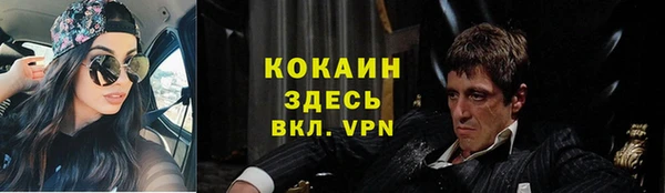 сатива Аркадак