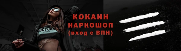 сатива Аркадак