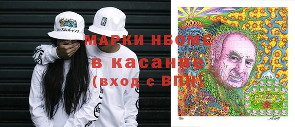 сатива Аркадак