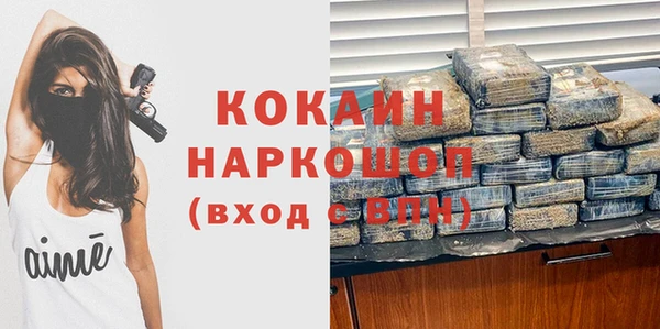 стаф Балахна