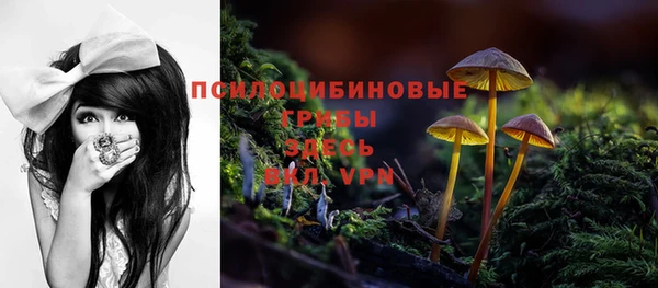 ПСИЛОЦИБИНОВЫЕ ГРИБЫ Армянск