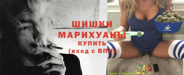 стаф Балахна